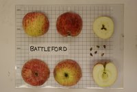 battleford.jpg