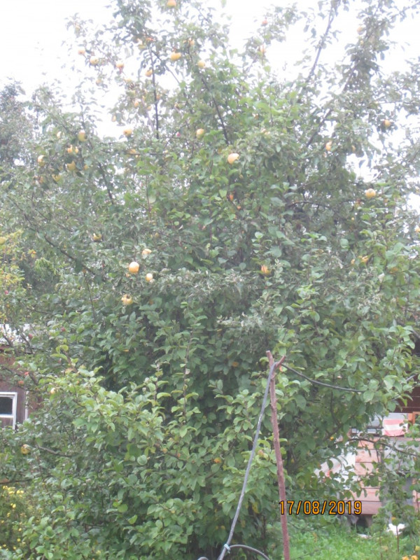 Фр1.jpg