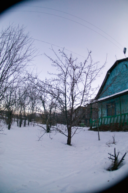 2677-ПлодовыйСад-в-Сарасе.jpg