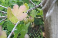 _MG_7573.jpg