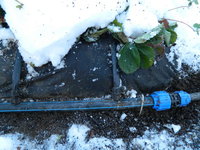 DSCN1312.JPG