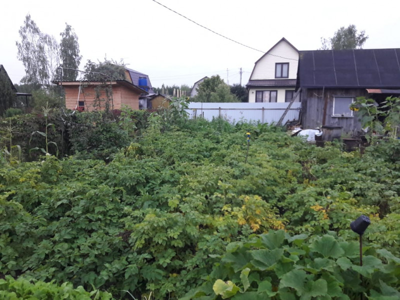 IMG-20190821-WA0020.jpg