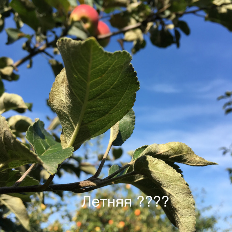 18165486-F18B-44C4-9E45-7D7C9036ACBE.jpeg