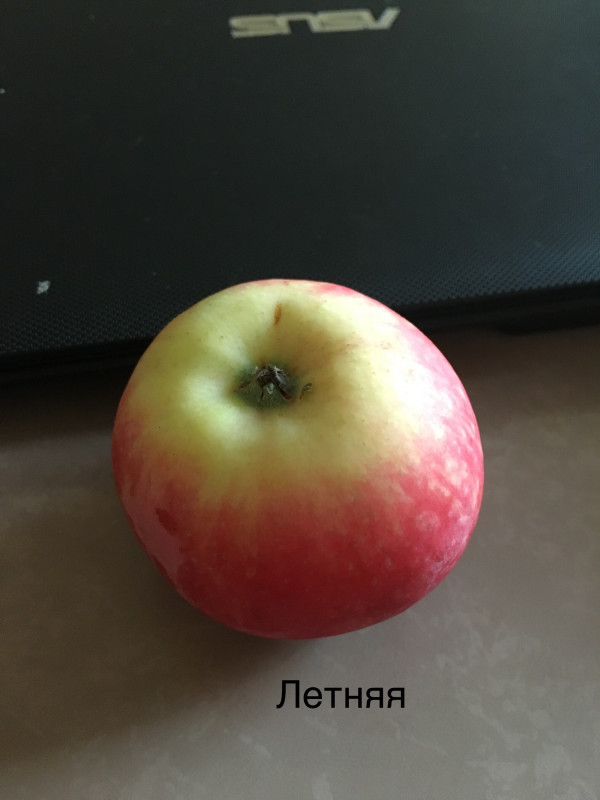 2BA10A3E-5FAD-479A-9C53-3F5B782EACF7.jpeg