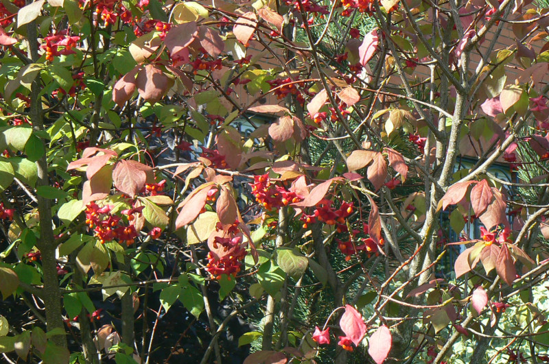 P1460335.JPG
