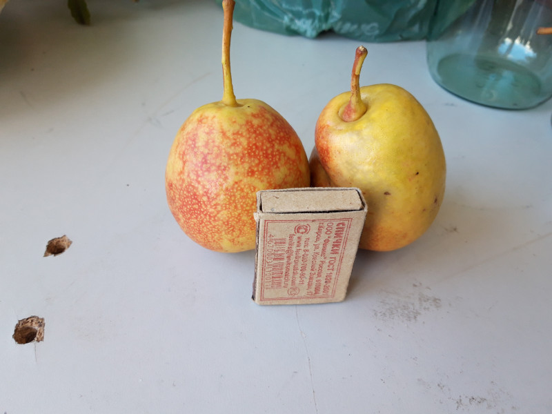 20190825_100123.jpg