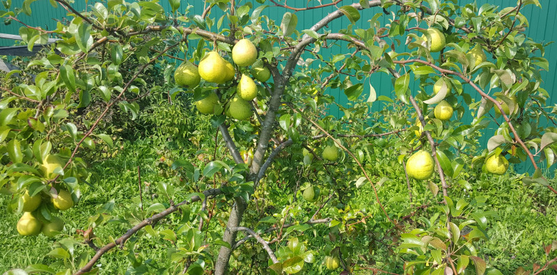 20190822_130814[1].jpg