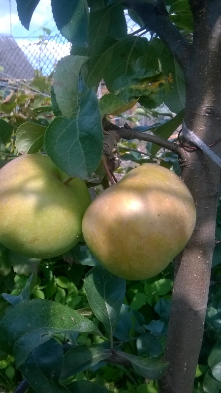 WP_20190825_003.jpg
