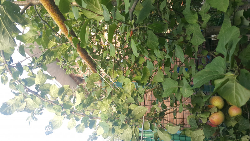 20190826_182106.jpg