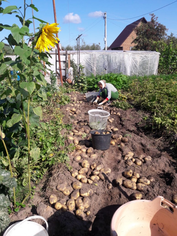 IMG-20190825-WA0032.jpg