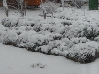 P1020134.JPG