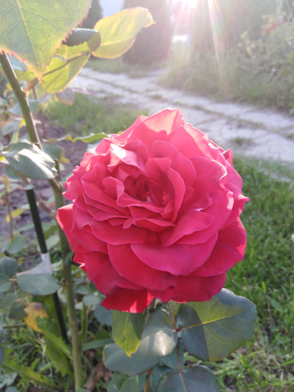 IMG_20190830_175409.jpg