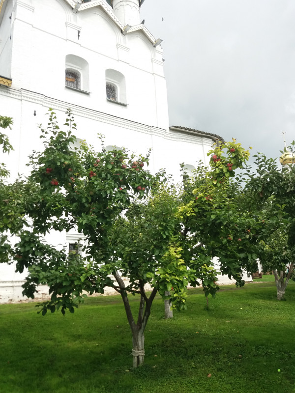 20190830_202807.jpg