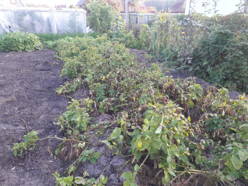 IMG-20190831-WA0020.jpg