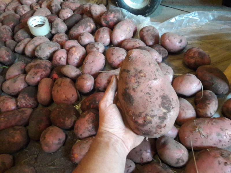 IMG-20190831-WA0021.jpg