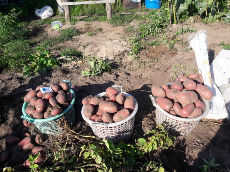 IMG-20190831-WA0014.jpg
