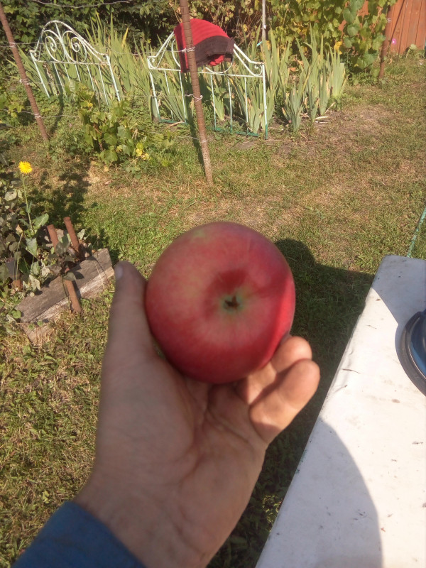 IMG_20190901_091825.jpg