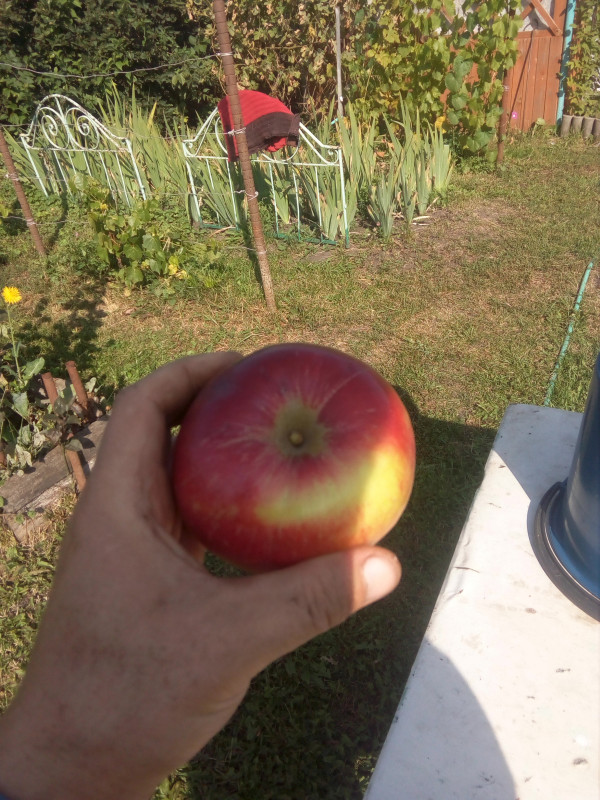 IMG_20190901_091830.jpg