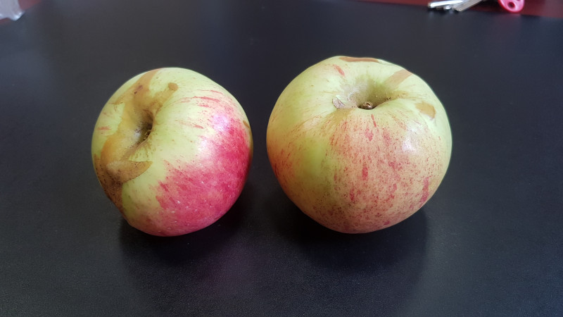 20190902_092821.jpg