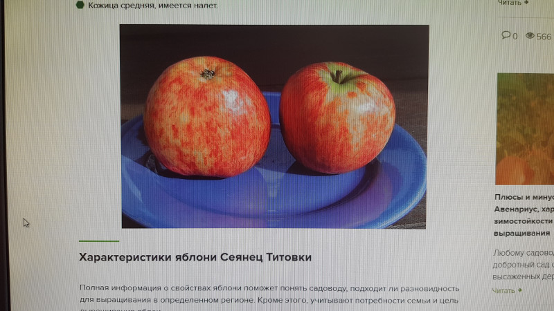 20190902_110458.jpg