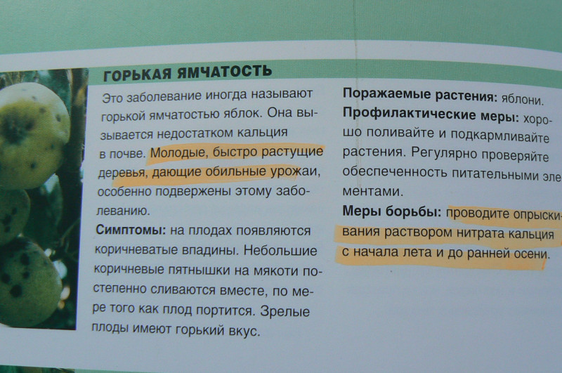 P1460521.JPG