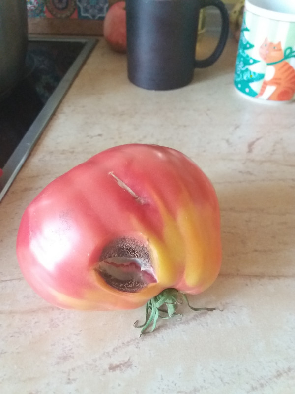 20190902_215141.jpg