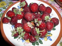 P1010004.JPG