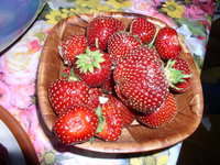 P1010006.JPG