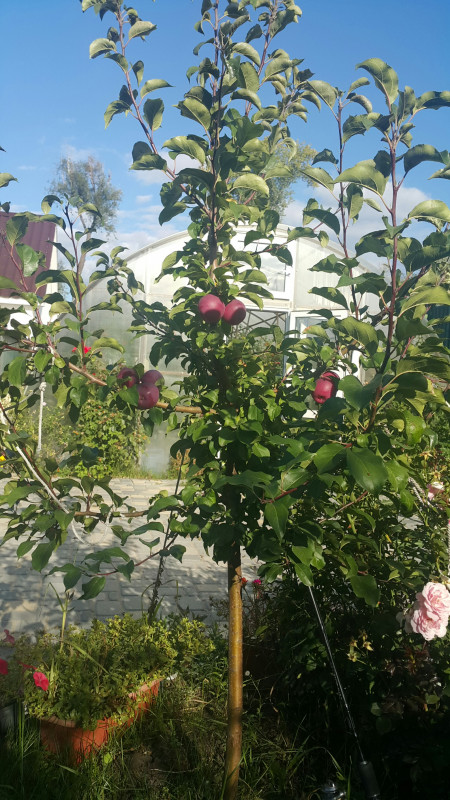2019-09-05 22.34.32.jpg