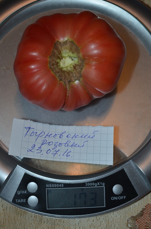 Тырновский розовый 1.jpg