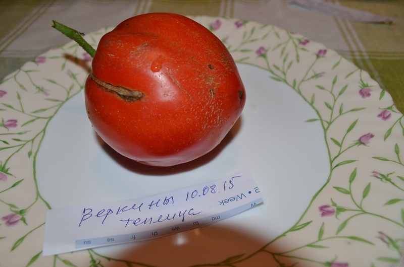 Веркины2.jpg