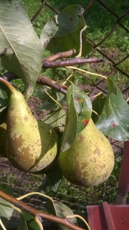 WP_20190907_012.jpg