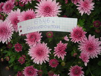 DSCN4860.JPG