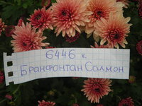 DSCN4863.JPG