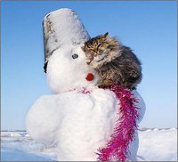 кот и снеговик.jpg