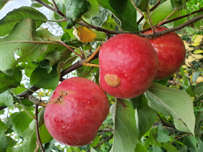 20190916_180353.jpg