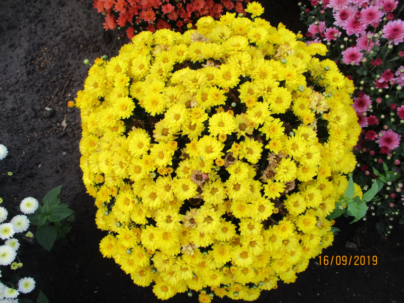 IMG_1502.JPG