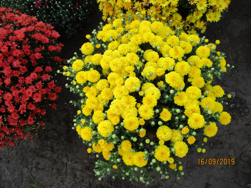 IMG_1508.JPG