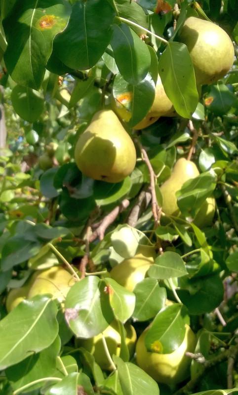 WP_20190914_15_23_44_Pro.jpg