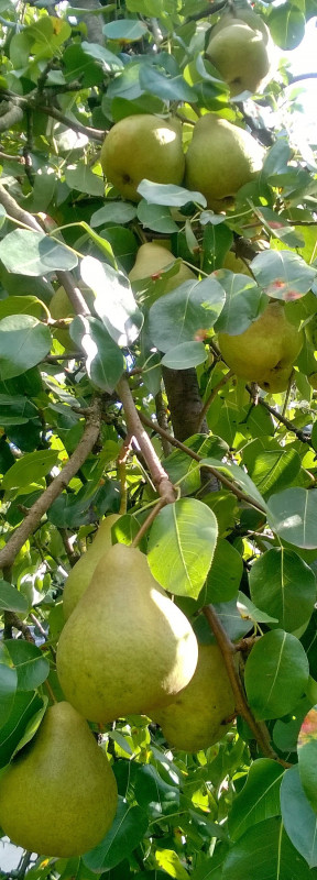 WP_20190914_15_24_04_Pro.jpg