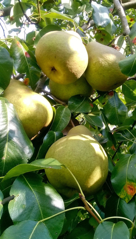 WP_20190914_15_24_20_Pro.jpg