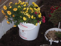 DSCN8236.JPG