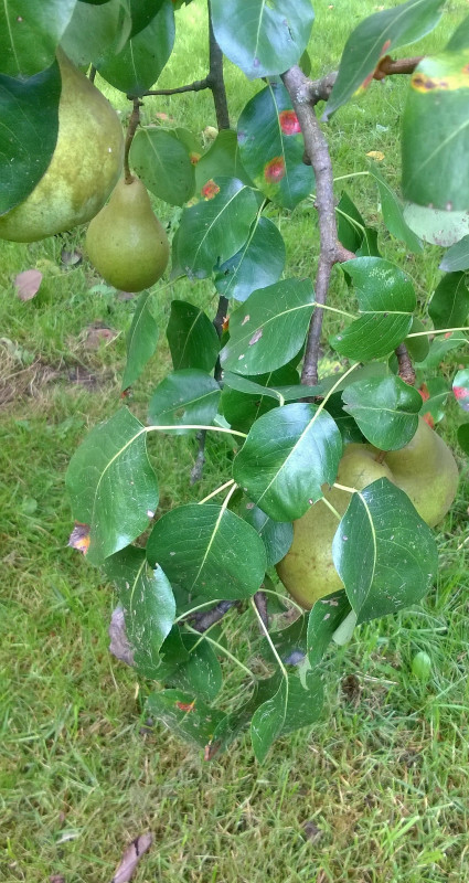 WP_20190914_15_27_08_Pro.jpg