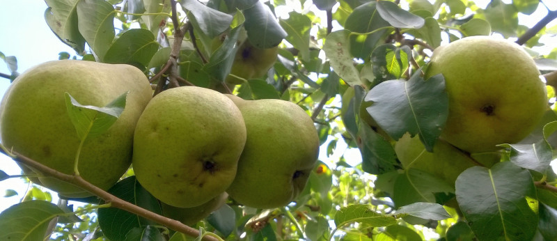 WP_20190914_15_27_59_Pro.jpg