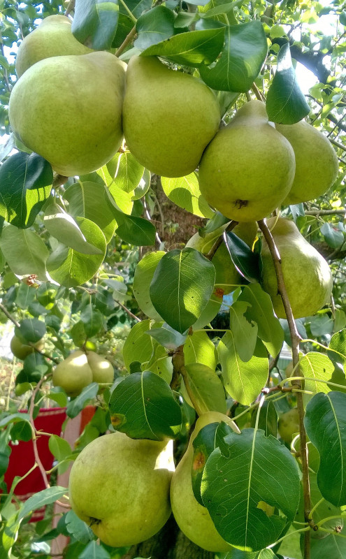 WP_20190914_15_28_15_Pro.jpg