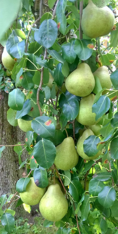 WP_20190914_15_28_33_Pro.jpg