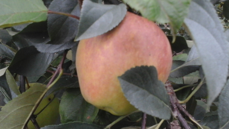 20190918_135641.jpg