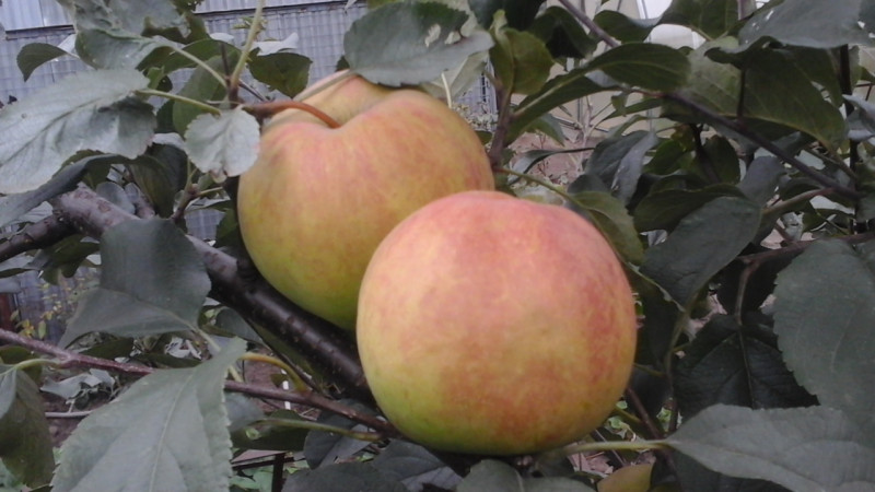 20190918_135925.jpg