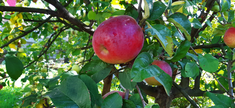 20190921_112715.jpg