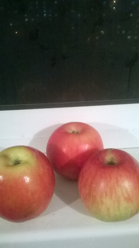 WP_20190922_002.jpg